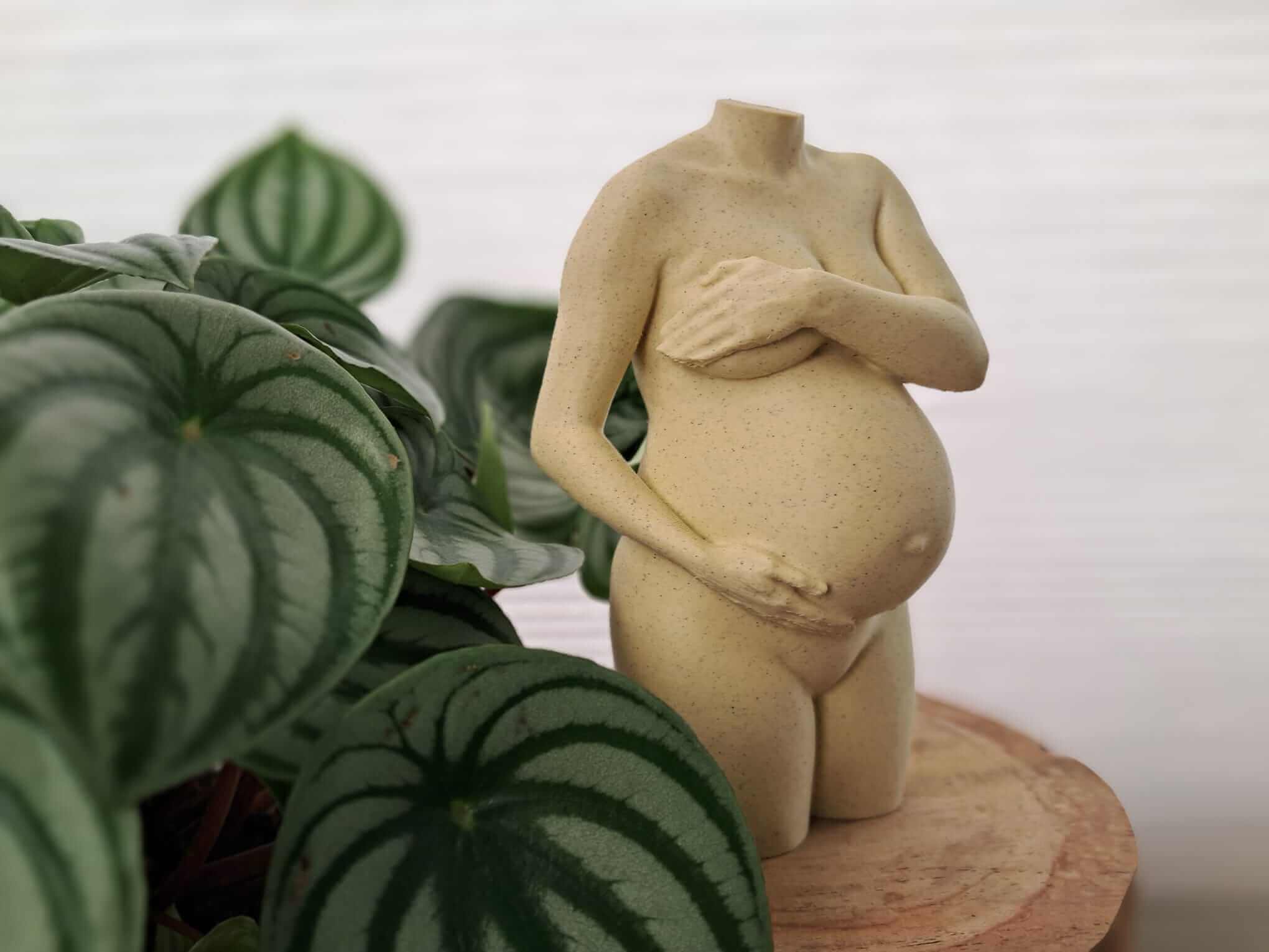 3D print van onbedekte buik en borsten tijdens zwangerschap